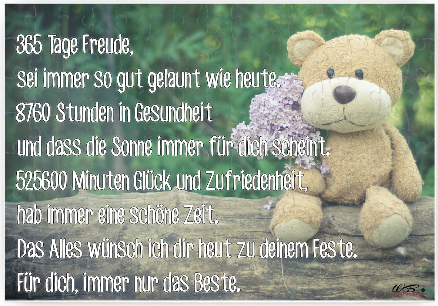 Puzzle-Botschaft eckig, GEBURTSTAG: 365 Tage Freude... - Bär, 120 Teile 27x18cm inkl. Geschenk-Beutel, WB wohn trends®