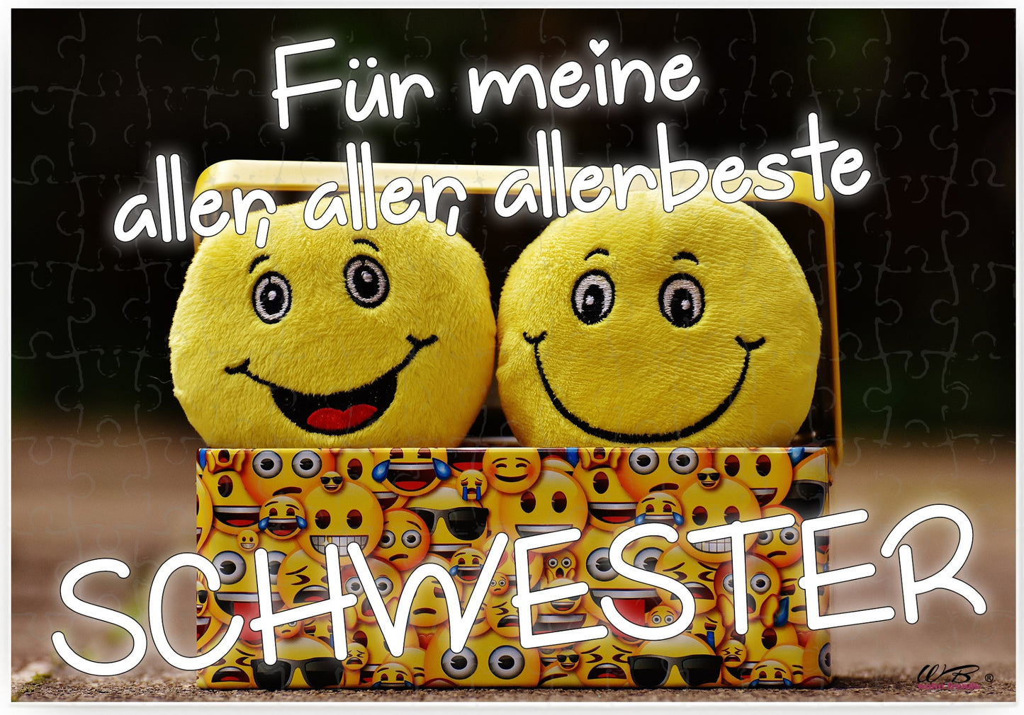 Puzzle-Botschaft eckig, Für meine aller-beste Schwester, 120 Teile 27x18cm inkl. Geschenk-Beutel, WB wohn trends®