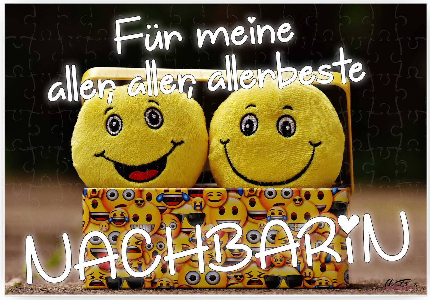 Puzzle-Botschaft eckig, Für meine aller-beste Nachbarin, 120 Teile 27x18cm inkl. Geschenk-Beutel, WB wohn trends®