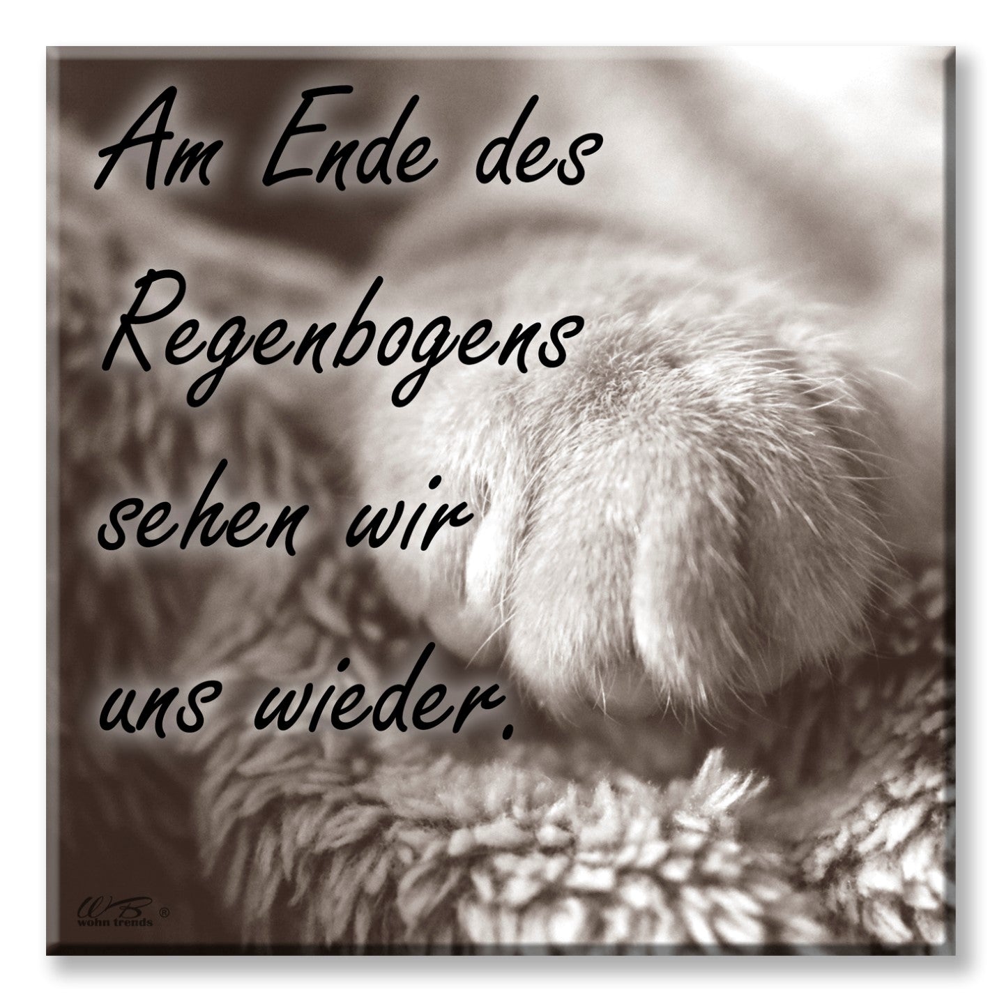 Deko-Fliese, Am Ende des Regenbogens Katze Pfote, Foto-Fliese Wand-Bild Deko-Schild 15x15cm