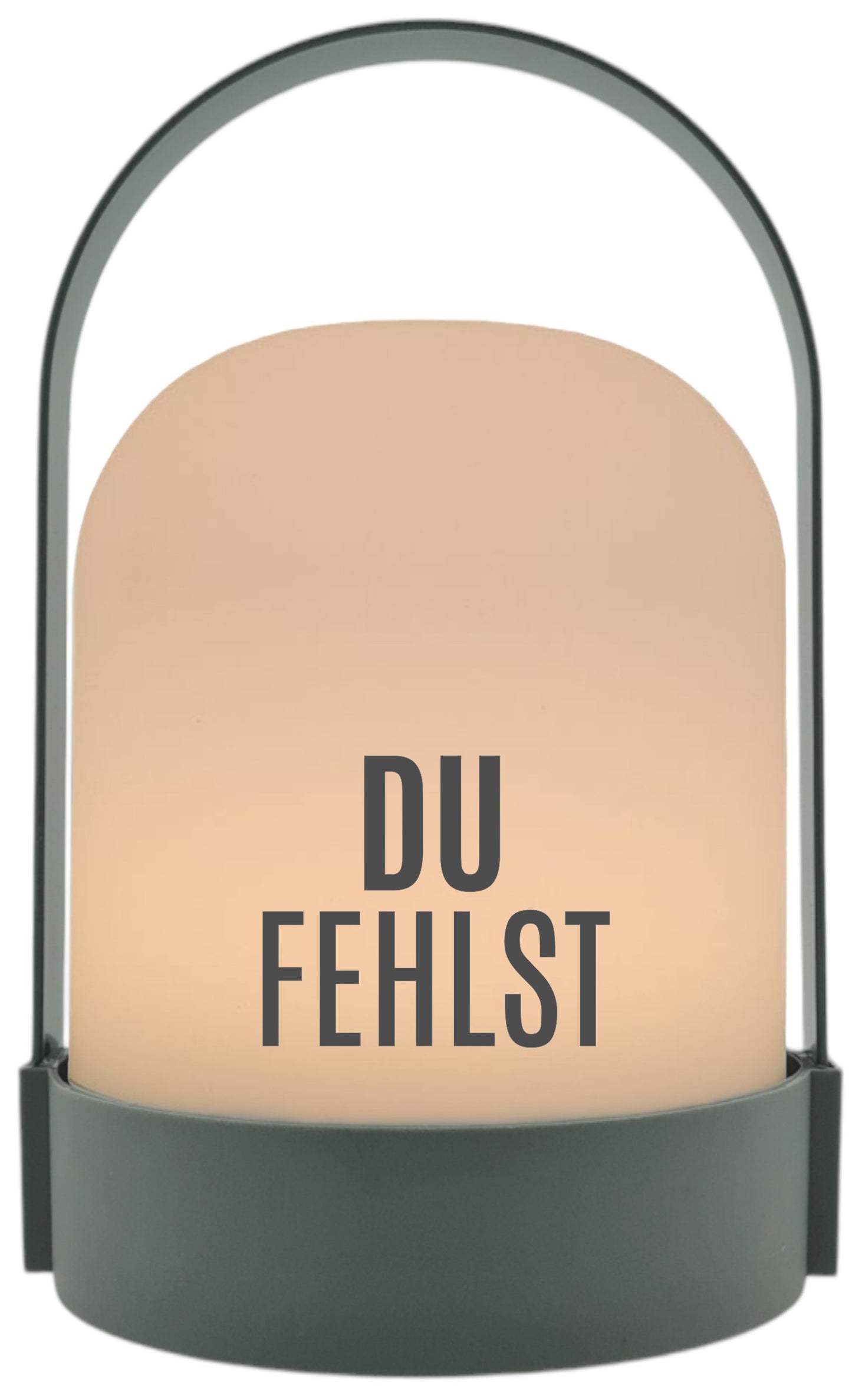 LED-Laterne, Du fehlst, 22x14cm Batterie LED-Licht Kunststoff Lampe mit Text Spruch